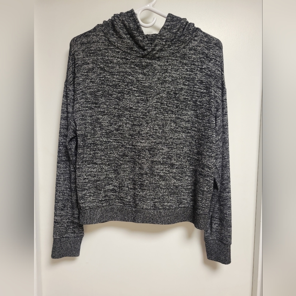 GAP Softspun sweater hoodie.